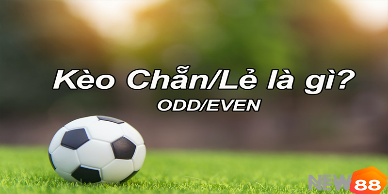 Cách đặt kèo chẵn lẻ: Bí quyết soi kèo hiệu quả cho người mới New88 5 Bảng kèo chẵn lẻ Even Odd tại nhà cái